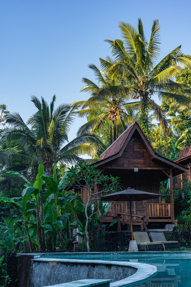 Brown Wooden House Surrounded by Palm Trees